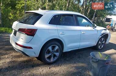 Внедорожник / Кроссовер Audi Q5 2024 в 