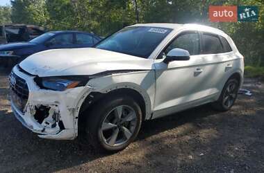 Внедорожник / Кроссовер Audi Q5 2024 в 