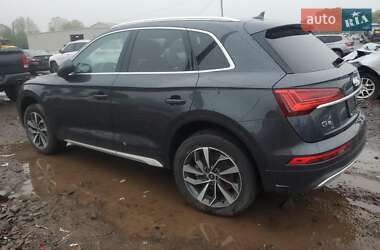 Внедорожник / Кроссовер Audi Q5 2021 в 