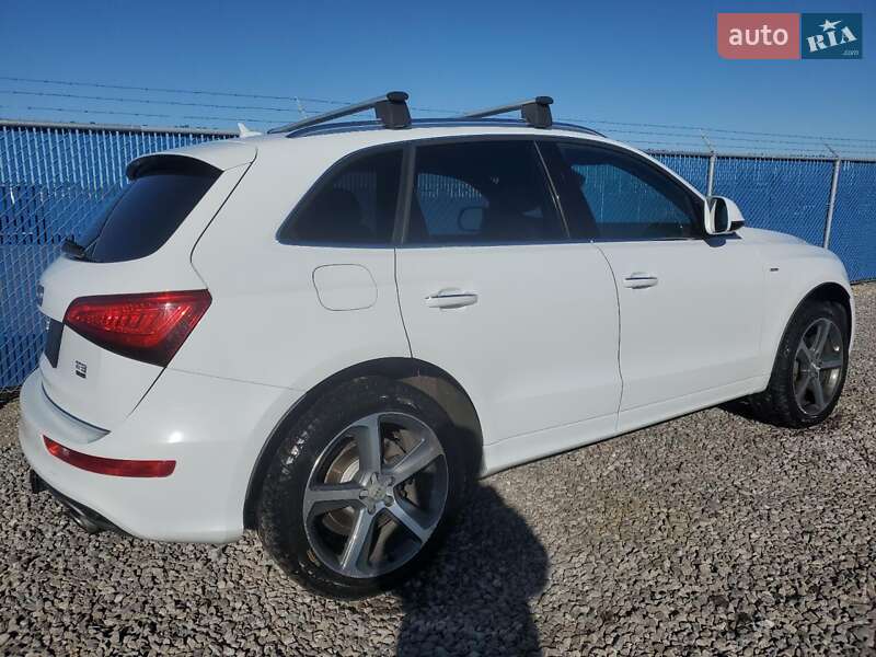 Внедорожник / Кроссовер Audi Q5 2019 в Виннице