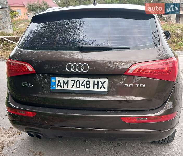 Позашляховик / Кросовер Audi Q5 2011 в Звягелі