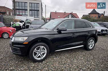 Внедорожник / Кроссовер Audi Q5 2019 в 