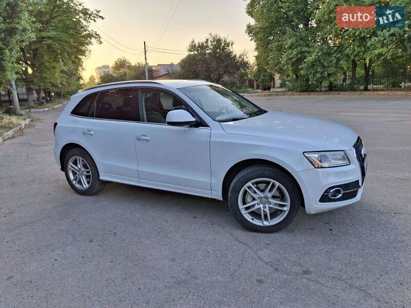 Внедорожник / Кроссовер Audi Q5 2016 в Кропивницком фото 35 Внедорожник / Кроссовер Audi Q5 2016 в Кропивницком
