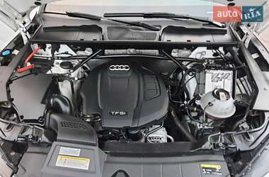 Внедорожник / Кроссовер Audi Q5 2019 в 