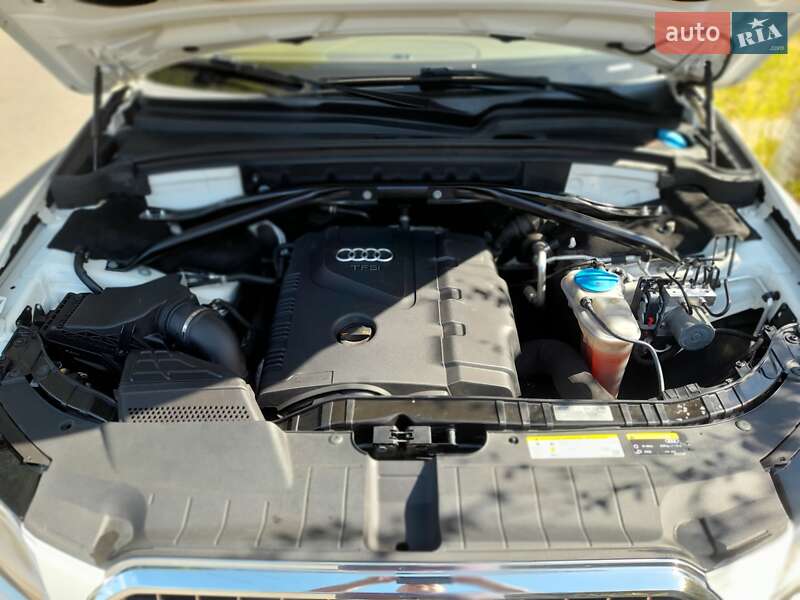 Внедорожник / Кроссовер Audi Q5 2013 в Фастове фото 15 Внедорожник / Кроссовер Audi Q5 2013 в Фастове