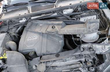 Позашляховик / Кросовер Audi Q5 2021 в 