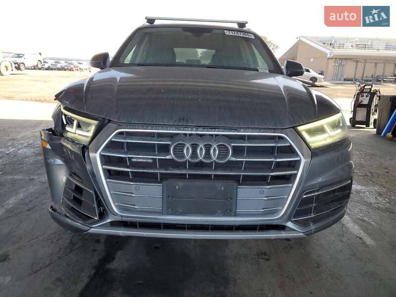 Внедорожник / Кроссовер Audi Q5 2019 в Львове фото 5 Внедорожник / Кроссовер Audi Q5 2019 в Львове