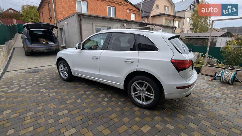 Внедорожник / Кроссовер Audi Q5 2017 в Хмельницком