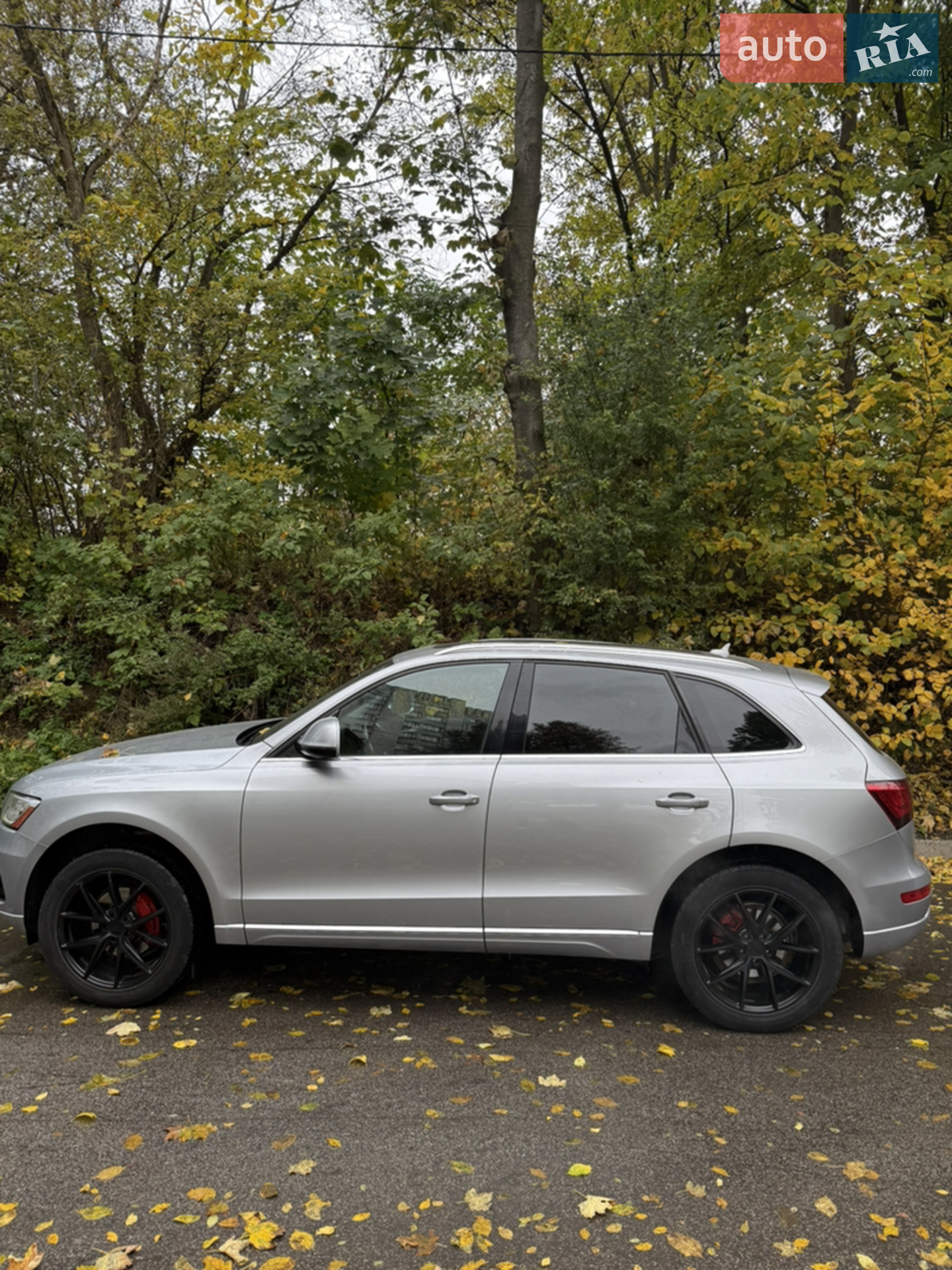 2015 Audi Q5 - мініатюра 7