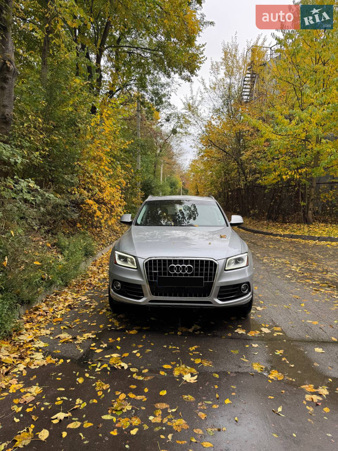 2015 Audi Q5 - фото 1