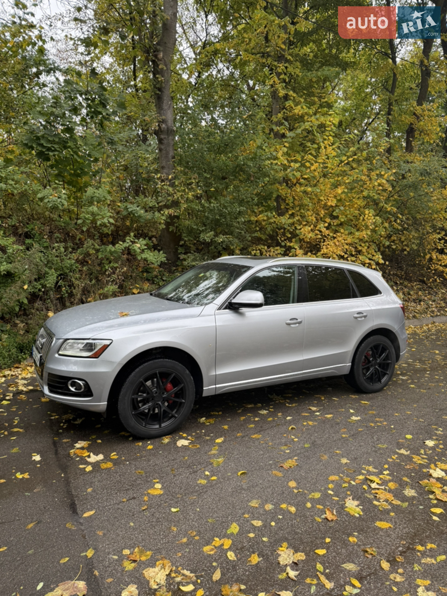 2015 Audi Q5 - мініатюра 8