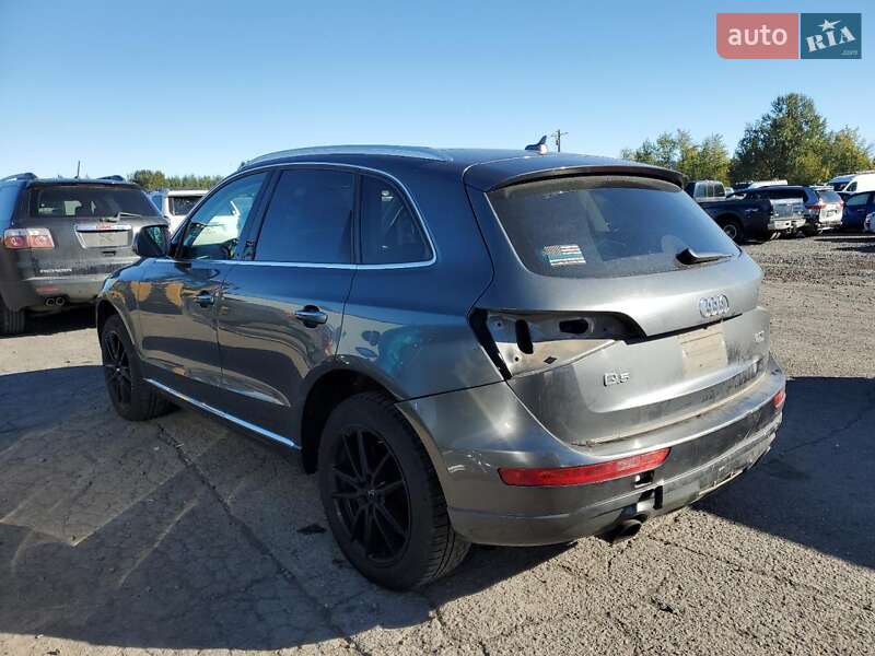 Внедорожник / Кроссовер Audi Q5 2017 в Киеве фото 2 Внедорожник / Кроссовер Audi Q5 2017 в Киеве