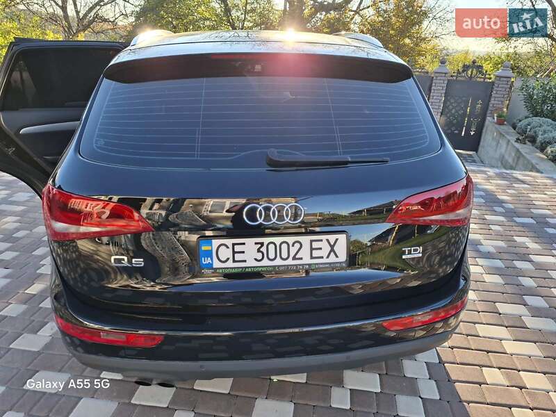 Внедорожник / Кроссовер Audi Q5 2010 в Хотине фото 5 Внедорожник / Кроссовер Audi Q5 2010 в Хотине