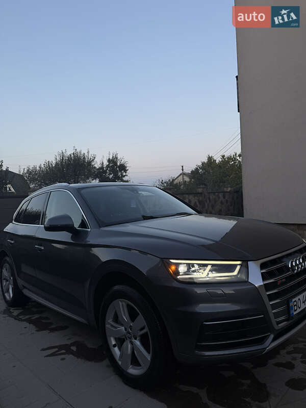 Внедорожник / Кроссовер Audi Q5 2019 в Чорткове фото 13 Внедорожник / Кроссовер Audi Q5 2019 в Чорткове