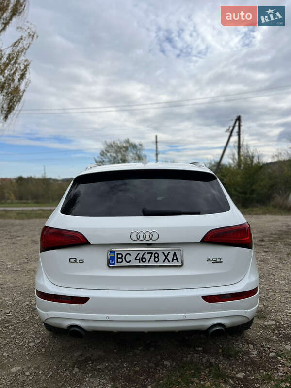 Позашляховик / Кросовер Audi Q5 2013 в Старому Самборі фото 10 Позашляховик / Кросовер Audi Q5 2013 в Старому Самборі
