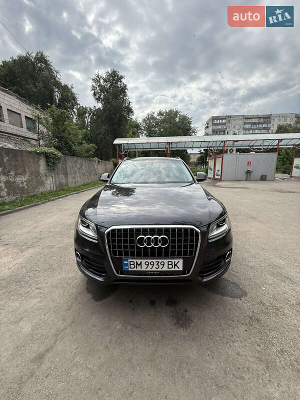 Внедорожник / Кроссовер Audi Q5 2013 в Конотопе фото 4 Внедорожник / Кроссовер Audi Q5 2013 в Конотопе