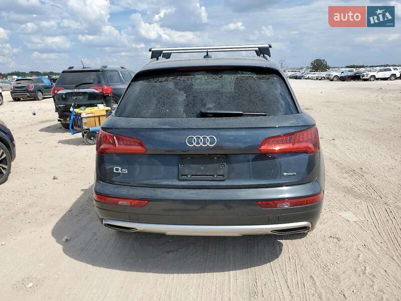 Внедорожник / Кроссовер Audi Q5 2019 в Львове фото 6 Внедорожник / Кроссовер Audi Q5 2019 в Львове
