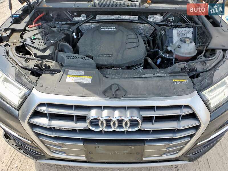 Внедорожник / Кроссовер Audi Q5 2019 в Львове фото 12 Внедорожник / Кроссовер Audi Q5 2019 в Львове