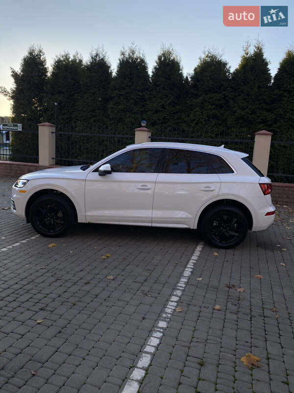 Внедорожник / Кроссовер Audi Q5 2020 в Василькове фото 7 Внедорожник / Кроссовер Audi Q5 2020 в Василькове