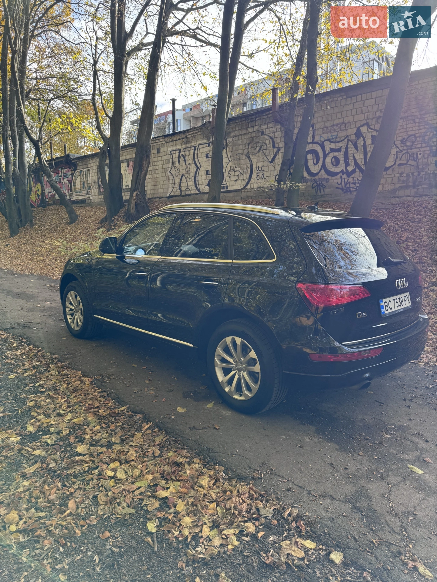 2015 Audi Q5 - мініатюра 3