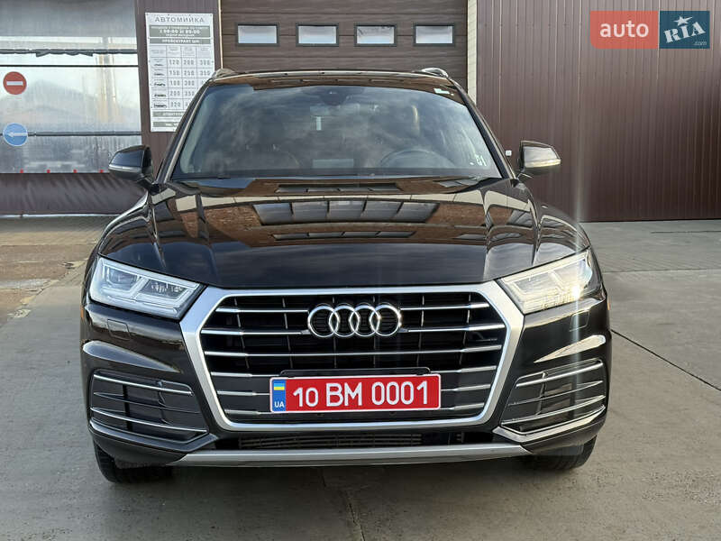 Внедорожник / Кроссовер Audi Q5 2019 в Жидачове