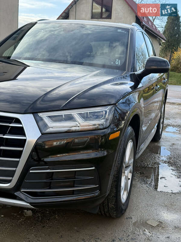 Внедорожник / Кроссовер Audi Q5 2019 в Жидачове