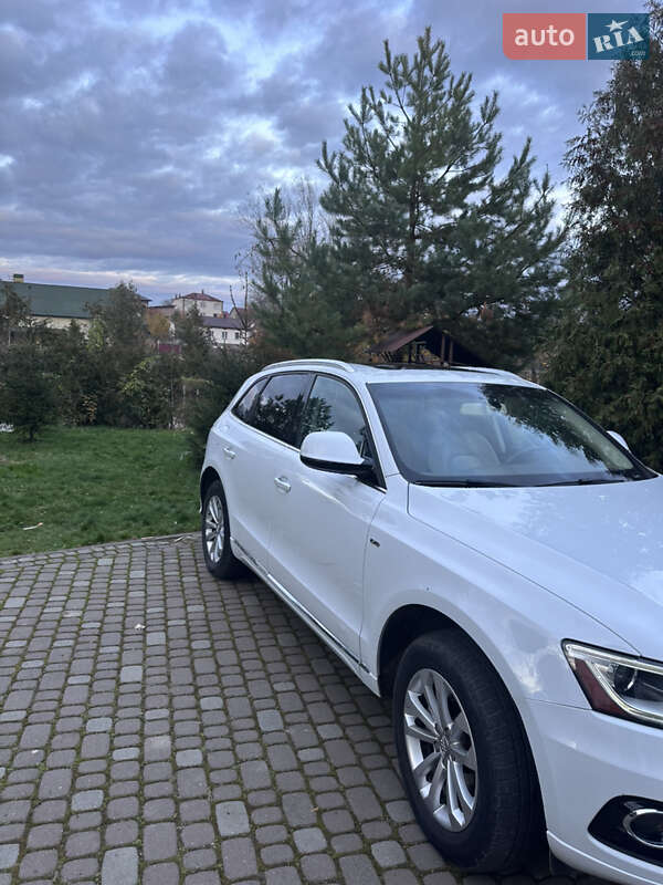 Внедорожник / Кроссовер Audi Q5 2016 в Львове фото 7 Внедорожник / Кроссовер Audi Q5 2016 в Львове