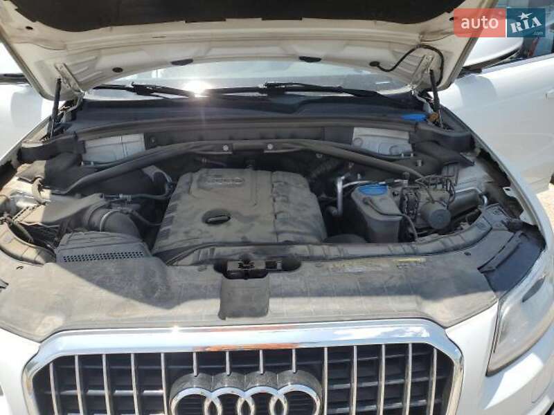Внедорожник / Кроссовер Audi Q5 2016 в Львове фото 16 Внедорожник / Кроссовер Audi Q5 2016 в Львове