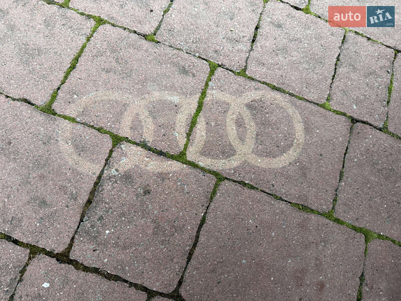 Внедорожник / Кроссовер Audi Q5 2019 в Стрые