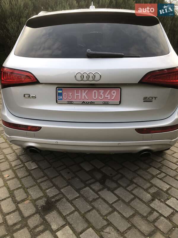 Внедорожник / Кроссовер Audi Q5 2014 в Самборе фото 40 Внедорожник / Кроссовер Audi Q5 2014 в Самборе