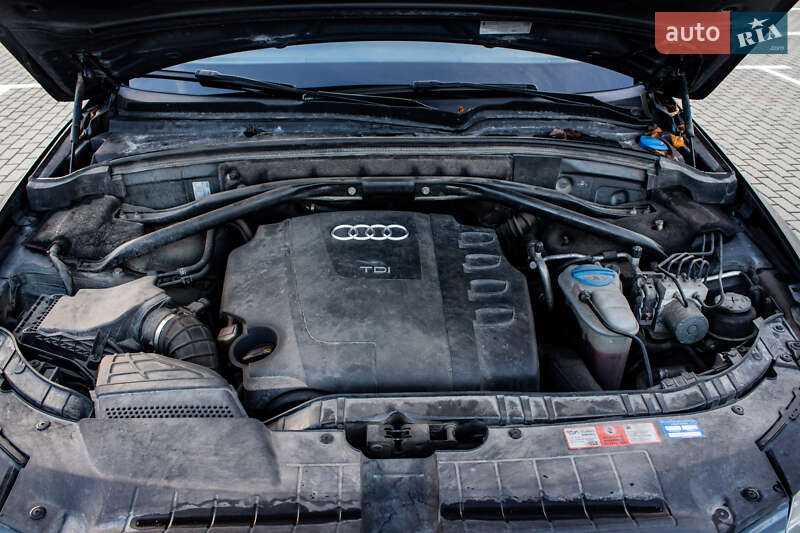 Внедорожник / Кроссовер Audi Q5 2009 в Нововолынске