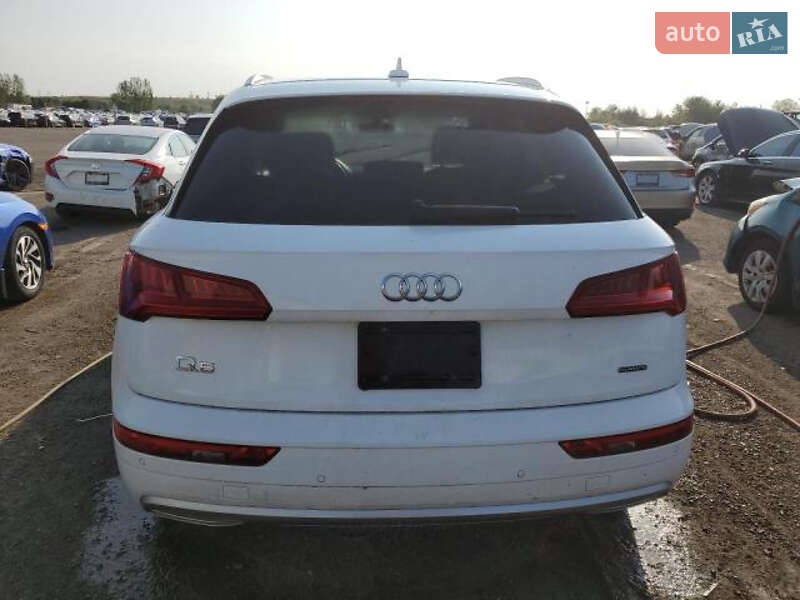 Внедорожник / Кроссовер Audi Q5 2019 в Стрые