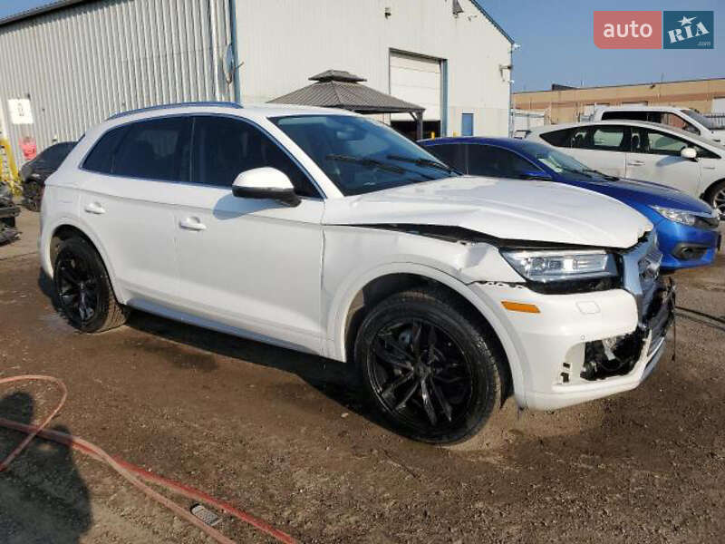 Внедорожник / Кроссовер Audi Q5 2019 в Стрые