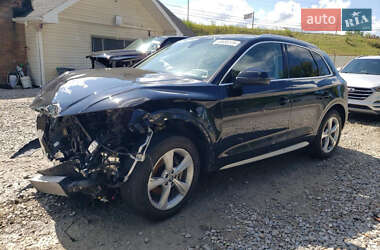 Позашляховик / Кросовер Audi Q5 2020 в Стрию