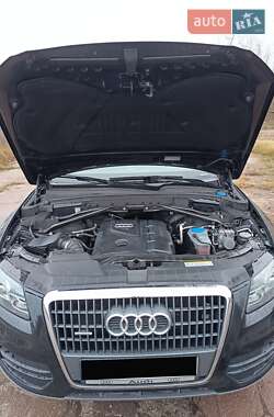 Внедорожник / Кроссовер Audi Q5 2011 в Иванкове фото 20 Внедорожник / Кроссовер Audi Q5 2011 в Иванкове