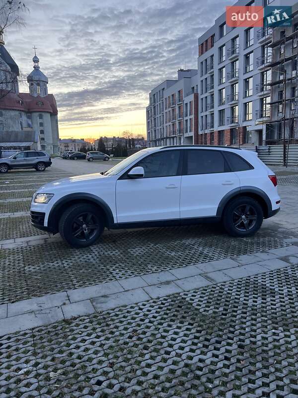 Внедорожник / Кроссовер Audi Q5 2009 в Самборе фото 24 Внедорожник / Кроссовер Audi Q5 2009 в Самборе
