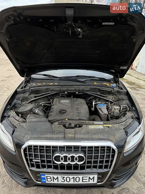 Внедорожник / Кроссовер Audi Q5 2013 в Сумах фото 9 Внедорожник / Кроссовер Audi Q5 2013 в Сумах