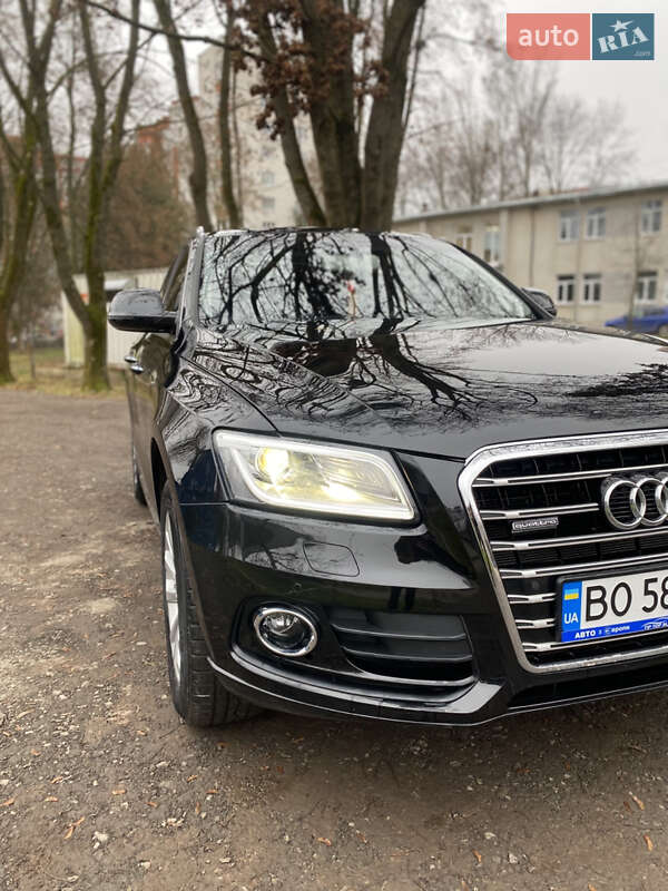 Внедорожник / Кроссовер Audi Q5 2015 в Тернополе фото 12 Внедорожник / Кроссовер Audi Q5 2015 в Тернополе