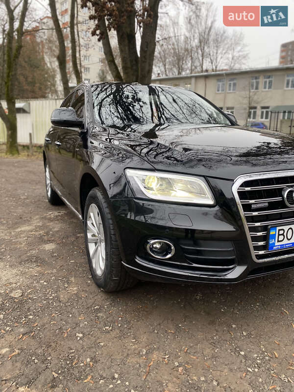 Внедорожник / Кроссовер Audi Q5 2015 в Тернополе фото 25 Внедорожник / Кроссовер Audi Q5 2015 в Тернополе