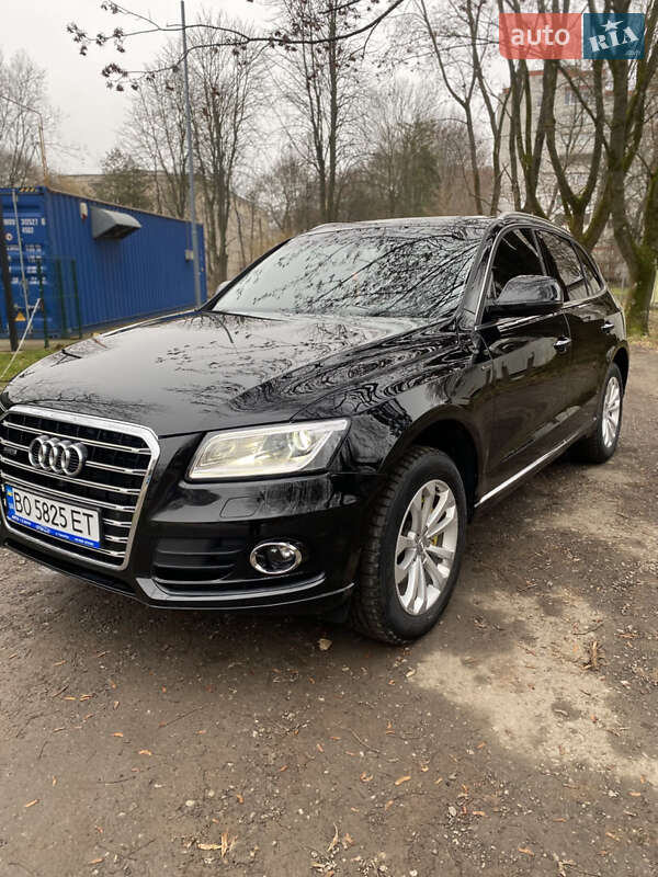 Внедорожник / Кроссовер Audi Q5 2015 в Тернополе фото 26 Внедорожник / Кроссовер Audi Q5 2015 в Тернополе