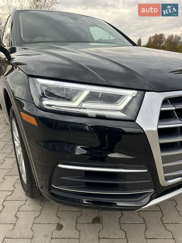 Внедорожник / Кроссовер Audi Q5 2019 в Киеве