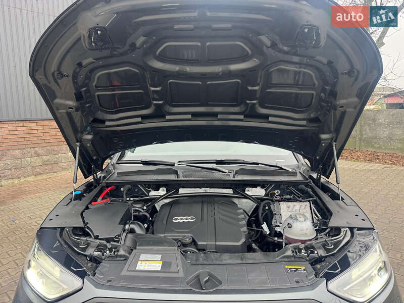 Внедорожник / Кроссовер Audi Q5 2024 в Броварах фото 11 Внедорожник / Кроссовер Audi Q5 2024 в Броварах