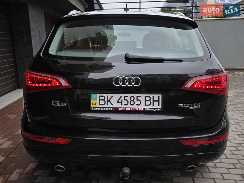 Внедорожник / Кроссовер Audi Q5 2010 в Тернополе фото 9 Внедорожник / Кроссовер Audi Q5 2010 в Тернополе