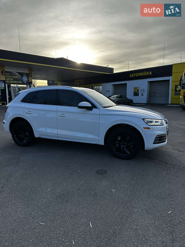Внедорожник / Кроссовер Audi Q5 2020 в Василькове фото 19 Внедорожник / Кроссовер Audi Q5 2020 в Василькове