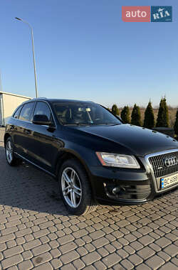 Внедорожник / Кроссовер Audi Q5 2010 в Львове