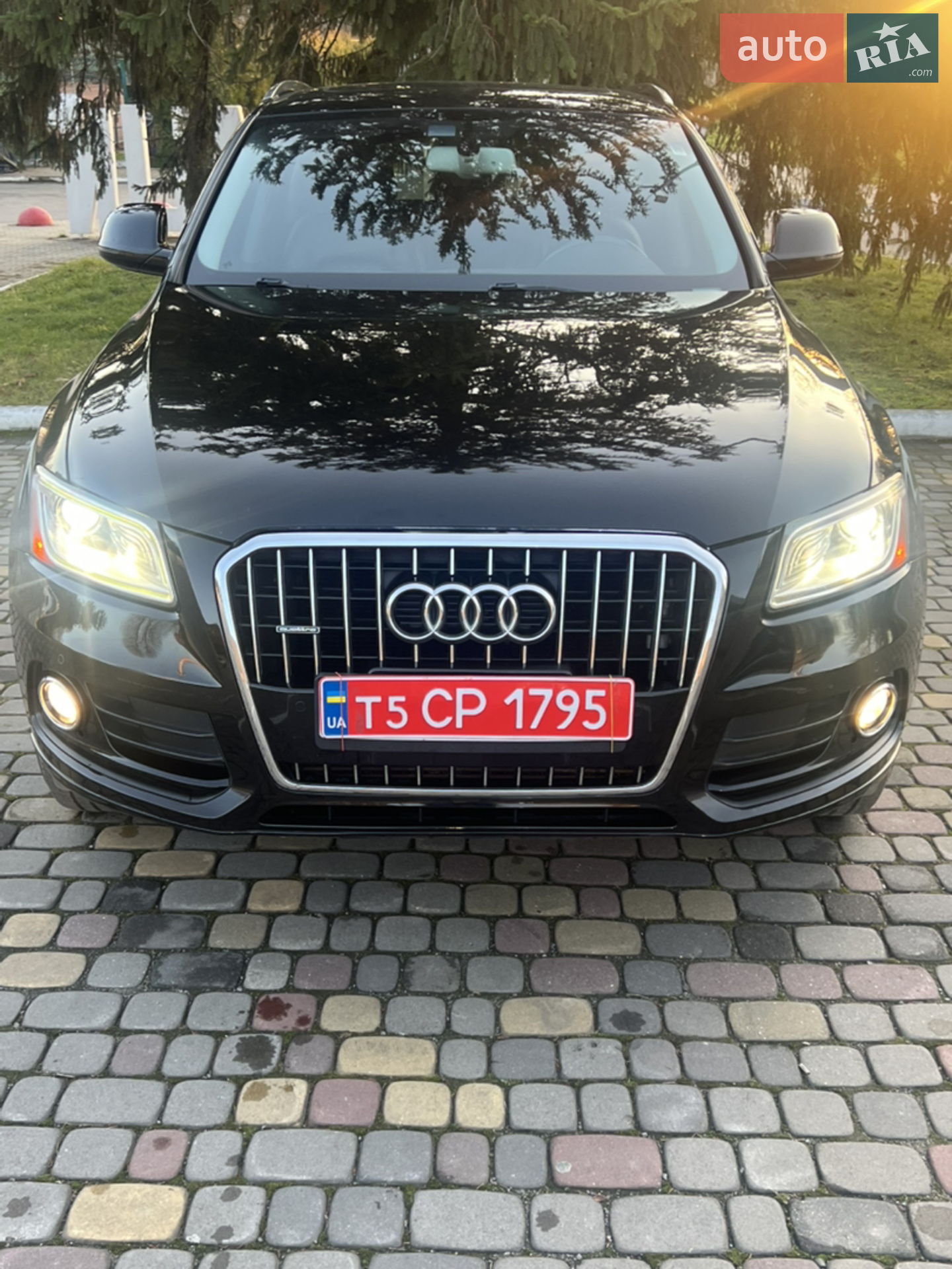 2016 Audi Q5 - мініатюра 4