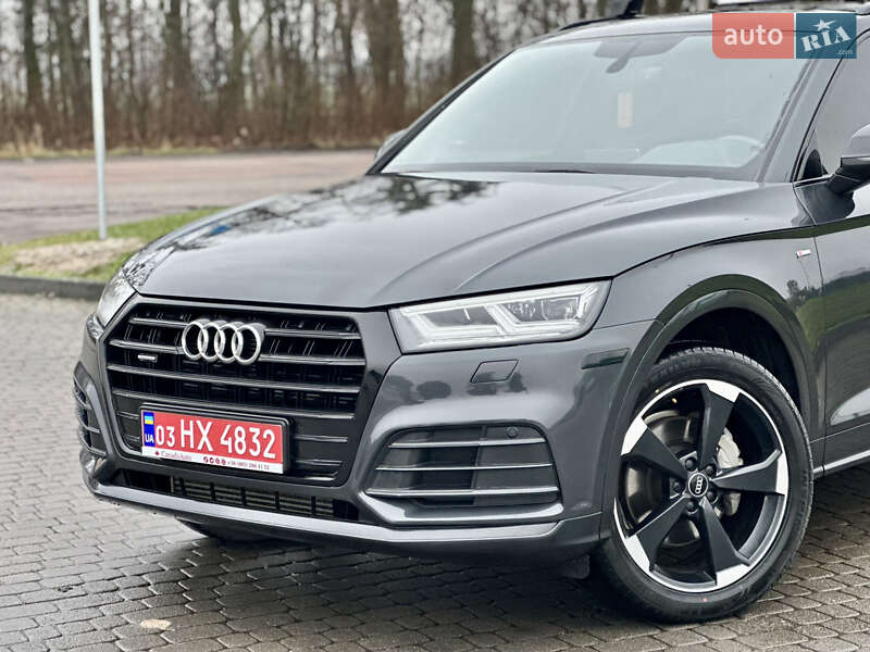 Внедорожник / Кроссовер Audi Q5 2019 в Бродах