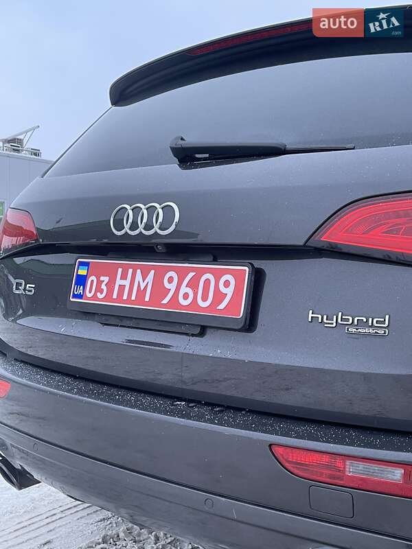 Внедорожник / Кроссовер Audi Q5 2013 в Луцке фото 4 Внедорожник / Кроссовер Audi Q5 2013 в Луцке