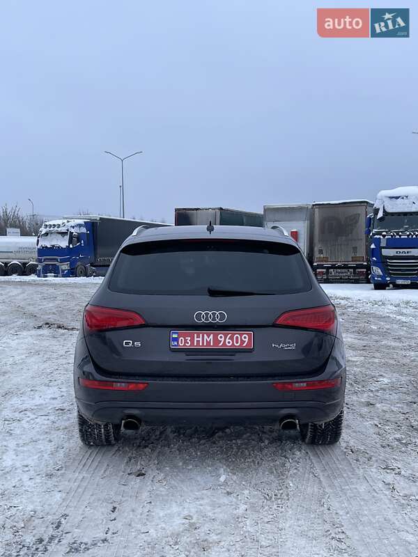 Внедорожник / Кроссовер Audi Q5 2013 в Луцке фото 8 Внедорожник / Кроссовер Audi Q5 2013 в Луцке
