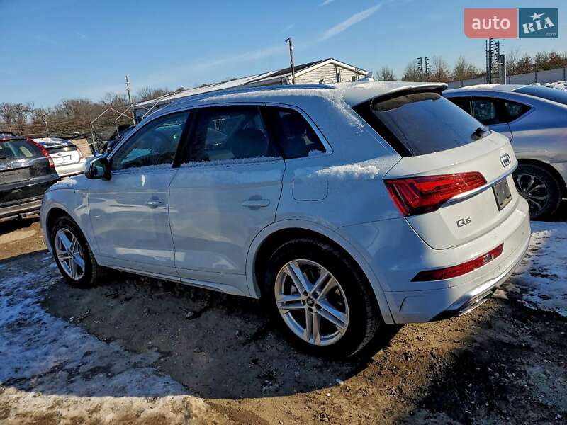 Внедорожник / Кроссовер Audi Q5 2022 в Житомире